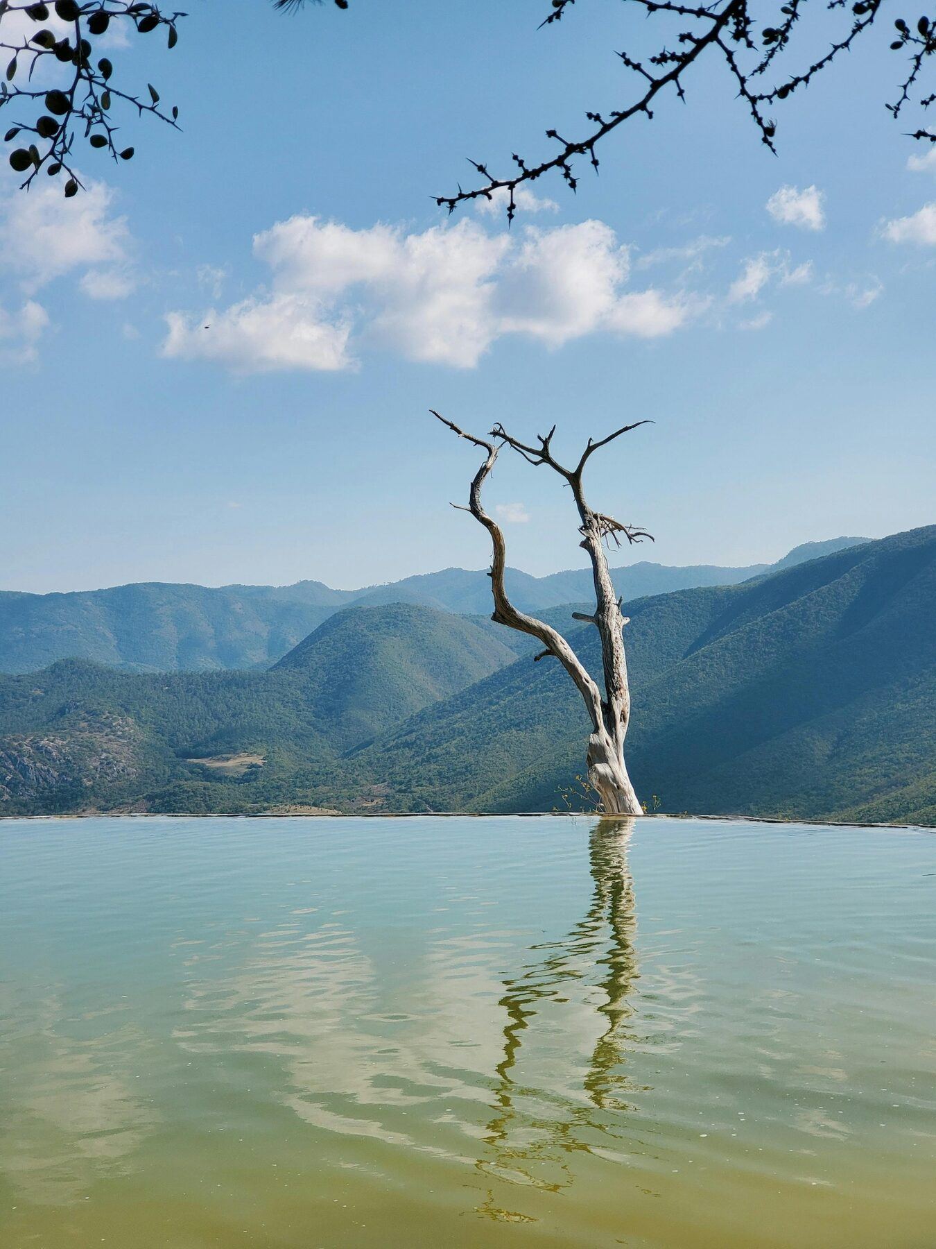Tour familiar desde Oaxaca a Hierve el Agua