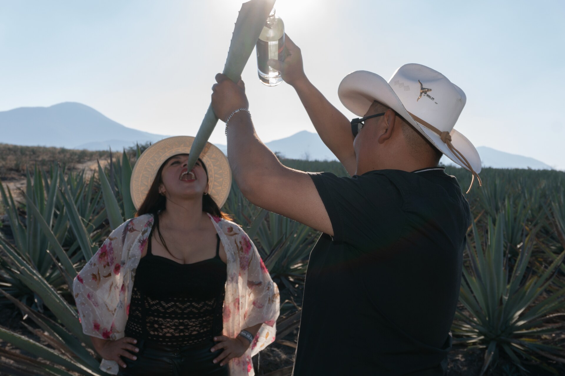 Brindis entre agaves