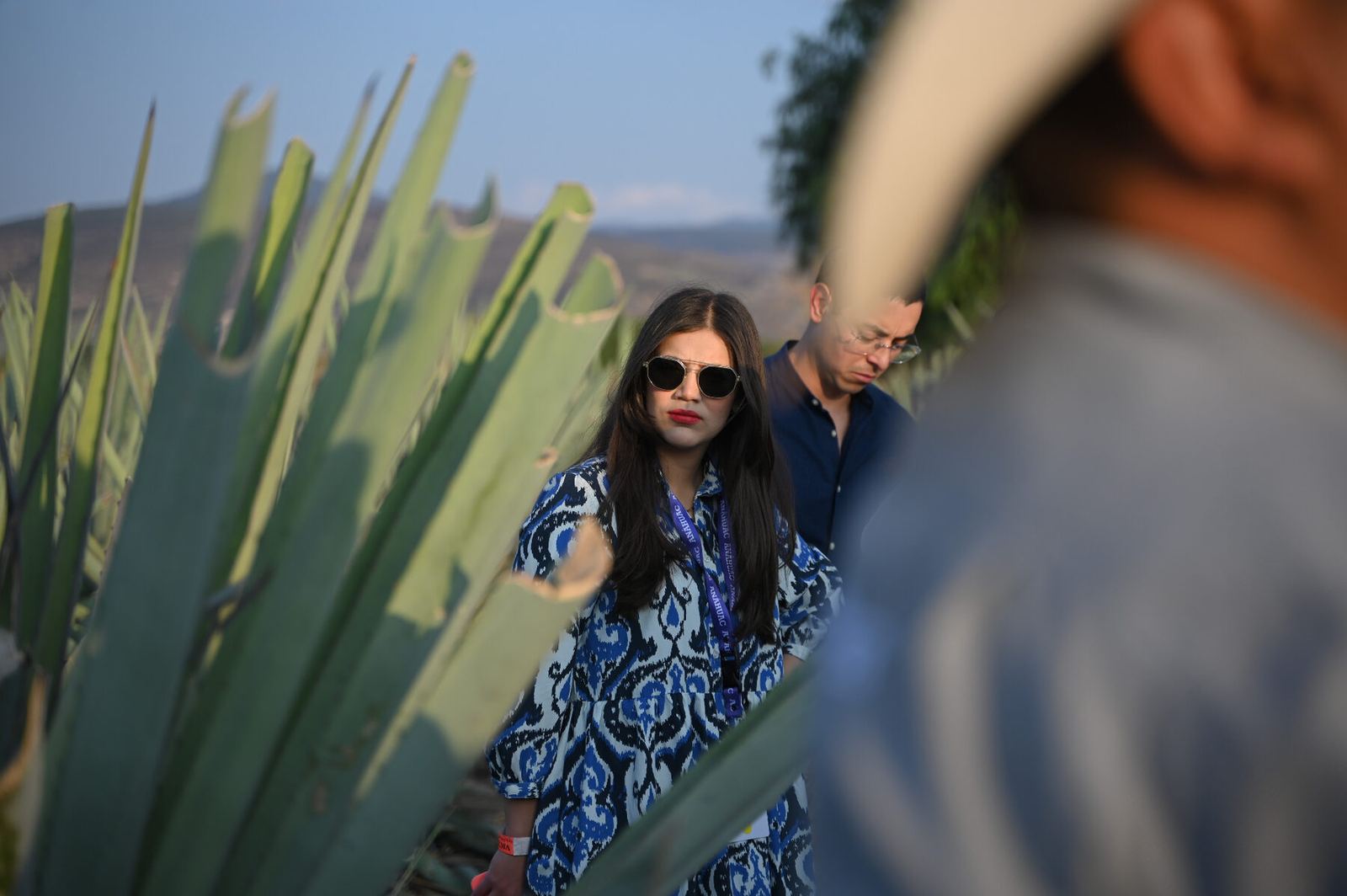 Experiencia de mezcal con maguey en Oaxaca