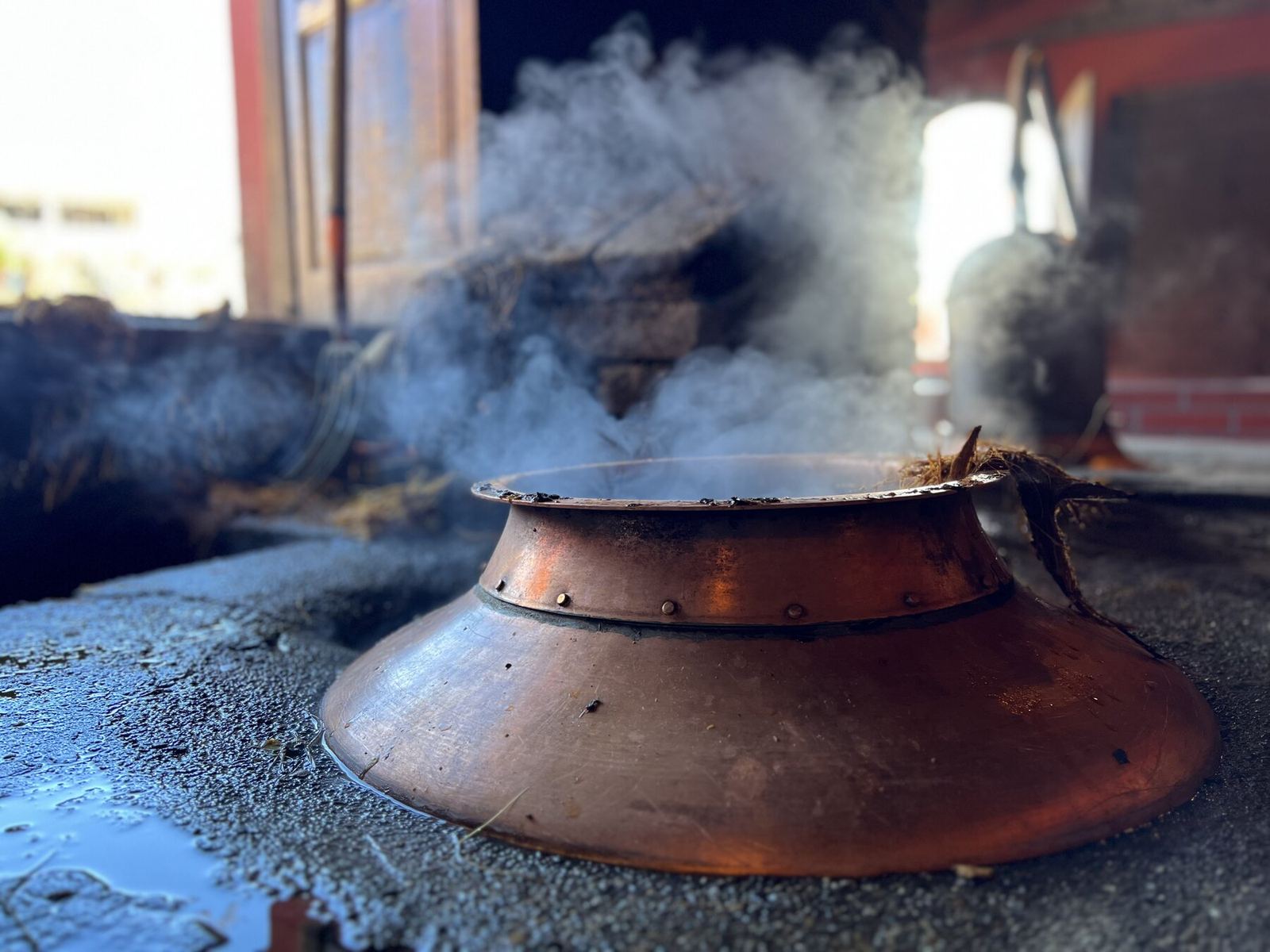 El Arte del Mezcal