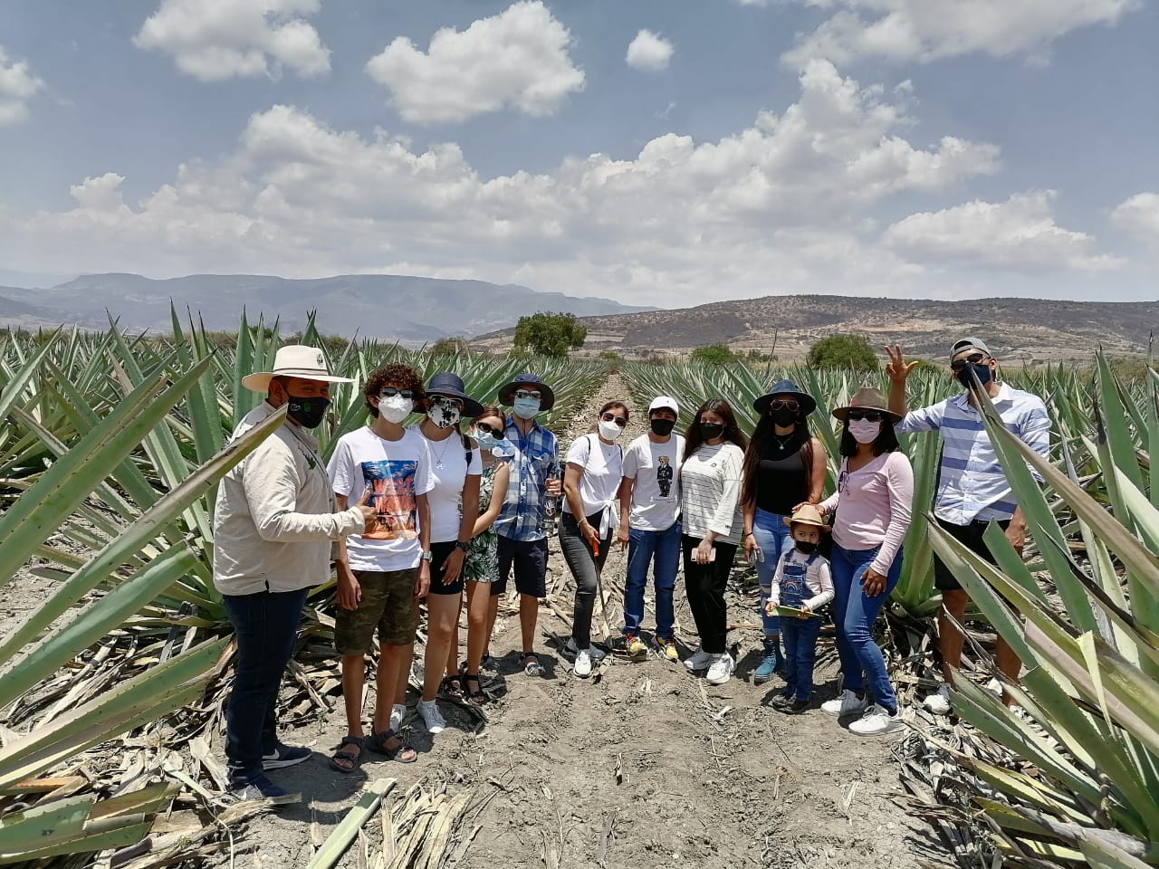 magueyes